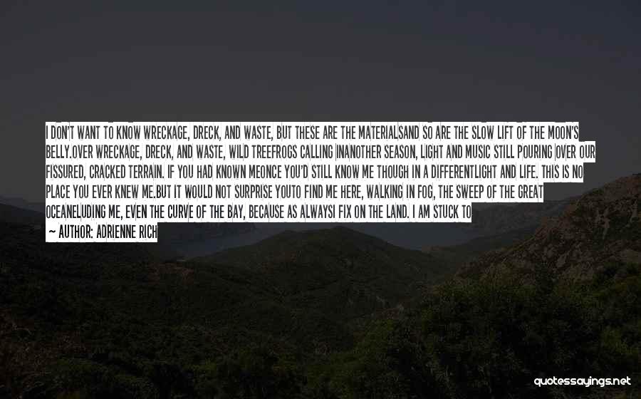 Adrienne Rich Quotes: I Don't Want To Know Wreckage, Dreck, And Waste, But These Are The Materialsand So Are The Slow Lift Of