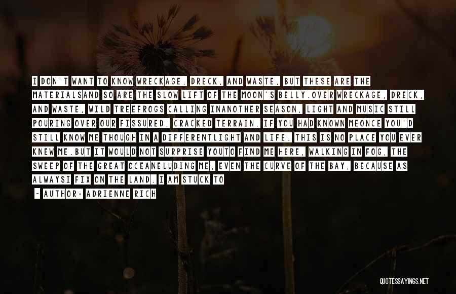 Adrienne Rich Quotes: I Don't Want To Know Wreckage, Dreck, And Waste, But These Are The Materialsand So Are The Slow Lift Of