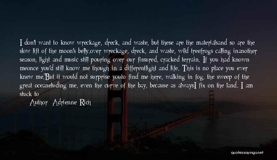 Adrienne Rich Quotes: I Don't Want To Know Wreckage, Dreck, And Waste, But These Are The Materialsand So Are The Slow Lift Of