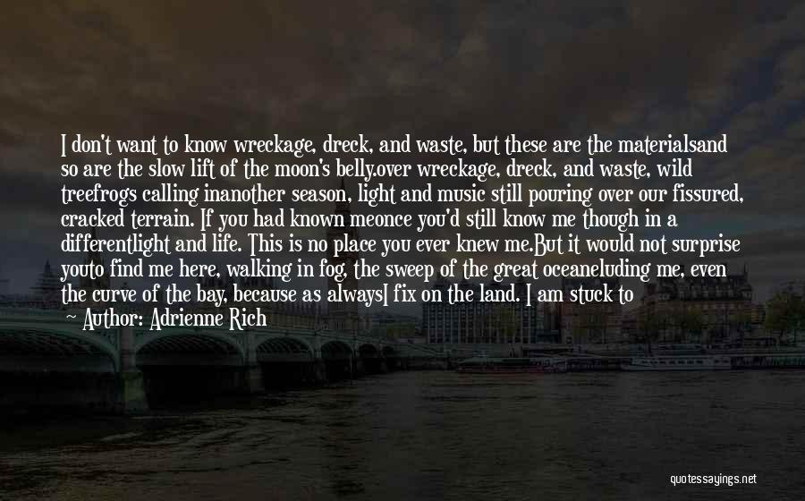 Adrienne Rich Quotes: I Don't Want To Know Wreckage, Dreck, And Waste, But These Are The Materialsand So Are The Slow Lift Of