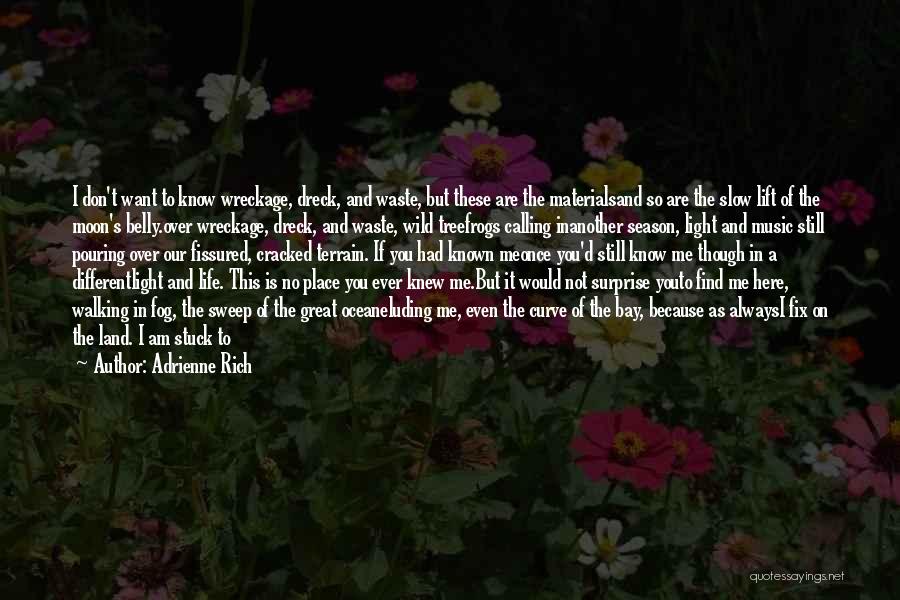 Adrienne Rich Quotes: I Don't Want To Know Wreckage, Dreck, And Waste, But These Are The Materialsand So Are The Slow Lift Of