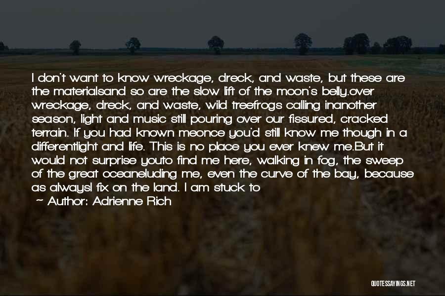 Adrienne Rich Quotes: I Don't Want To Know Wreckage, Dreck, And Waste, But These Are The Materialsand So Are The Slow Lift Of