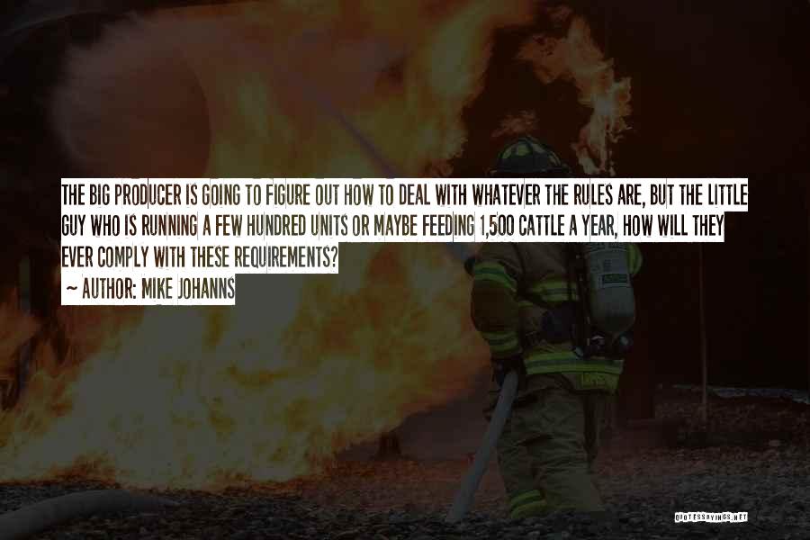 Mike Johanns Quotes: The Big Producer Is Going To Figure Out How To Deal With Whatever The Rules Are, But The Little Guy