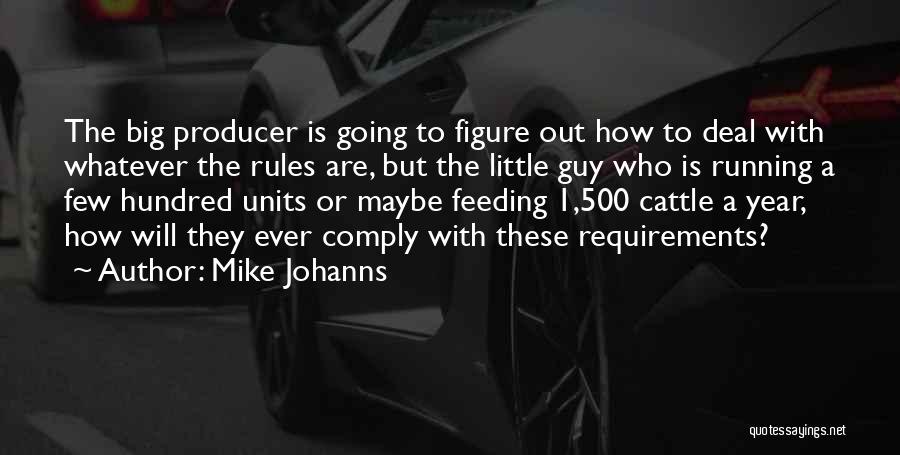 Mike Johanns Quotes: The Big Producer Is Going To Figure Out How To Deal With Whatever The Rules Are, But The Little Guy