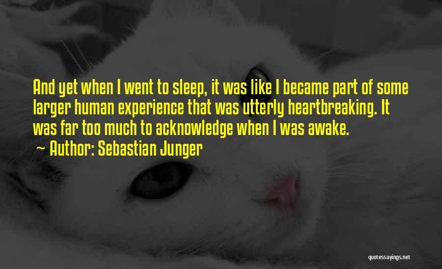 Sebastian Junger Quotes: And Yet When I Went To Sleep, It Was Like I Became Part Of Some Larger Human Experience That Was