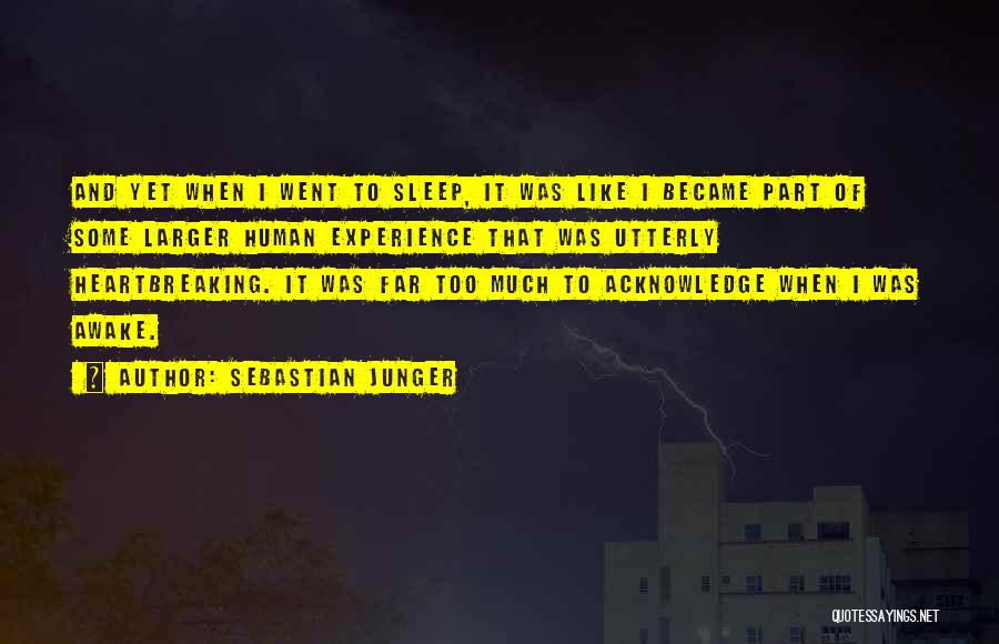 Sebastian Junger Quotes: And Yet When I Went To Sleep, It Was Like I Became Part Of Some Larger Human Experience That Was