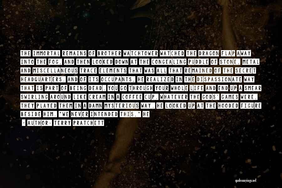 Terry Pratchett Quotes: The Immortal Remains Of Brother Watchtower Watched The Dragon Flap Away Into The Fog, And Then Looked Down At The