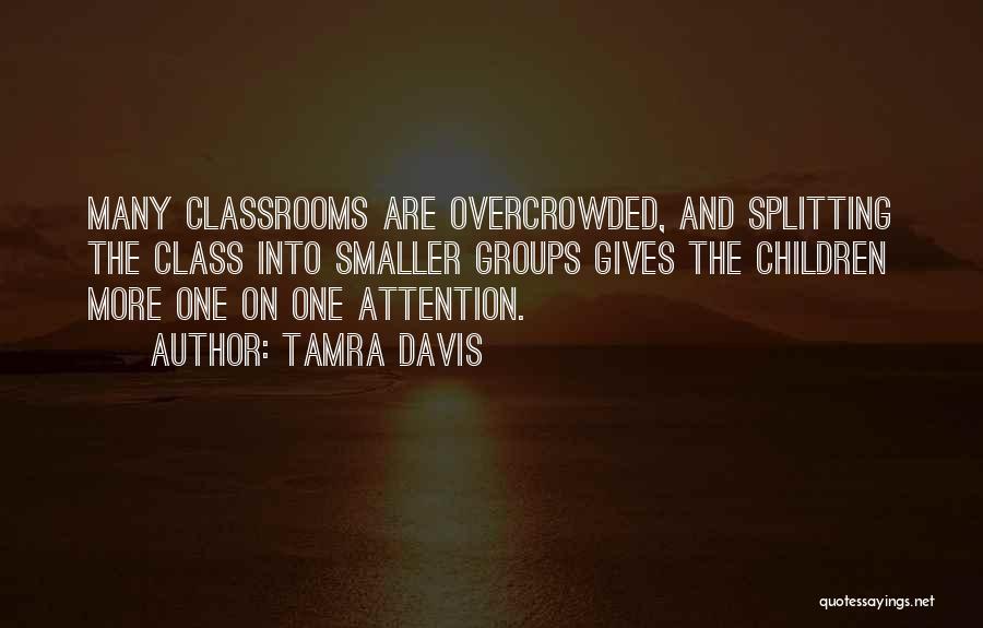 Tamra Davis Quotes: Many Classrooms Are Overcrowded, And Splitting The Class Into Smaller Groups Gives The Children More One On One Attention.