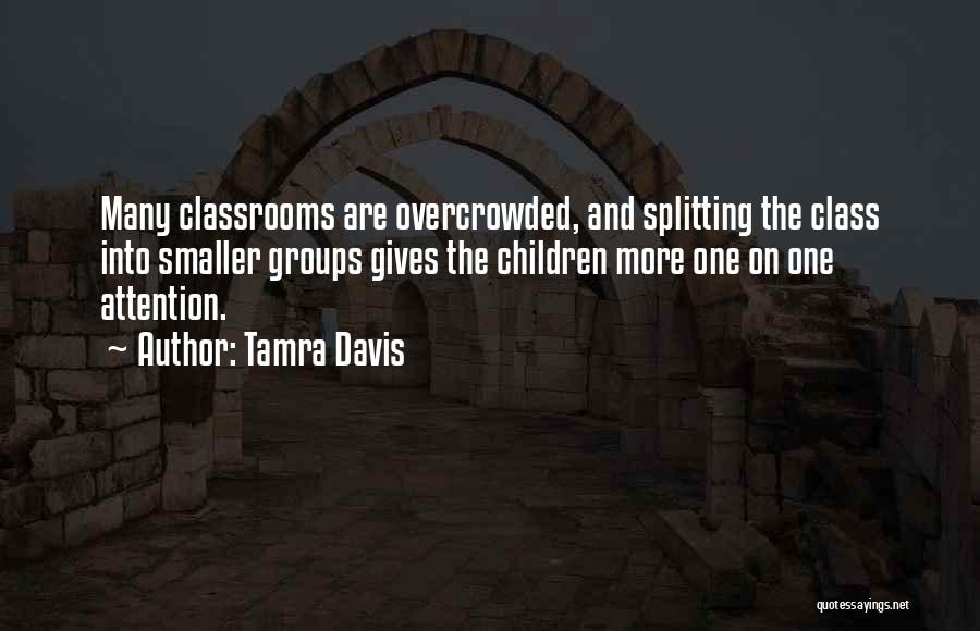 Tamra Davis Quotes: Many Classrooms Are Overcrowded, And Splitting The Class Into Smaller Groups Gives The Children More One On One Attention.