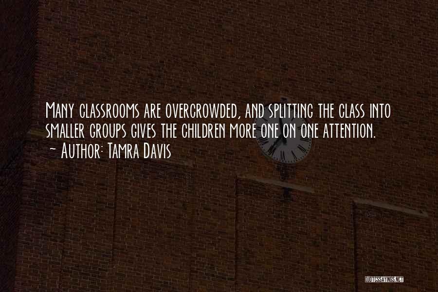 Tamra Davis Quotes: Many Classrooms Are Overcrowded, And Splitting The Class Into Smaller Groups Gives The Children More One On One Attention.