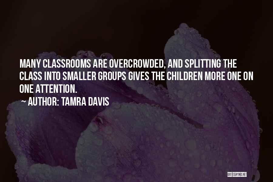 Tamra Davis Quotes: Many Classrooms Are Overcrowded, And Splitting The Class Into Smaller Groups Gives The Children More One On One Attention.