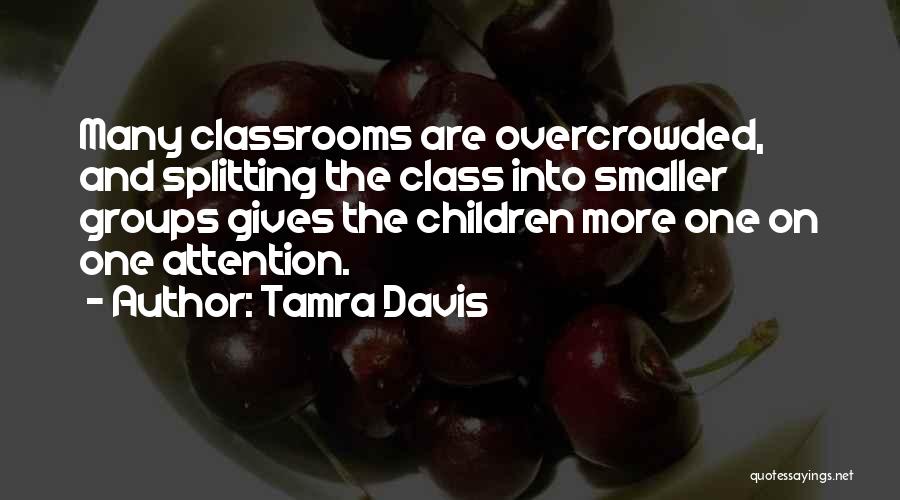 Tamra Davis Quotes: Many Classrooms Are Overcrowded, And Splitting The Class Into Smaller Groups Gives The Children More One On One Attention.