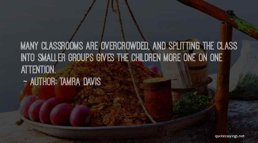 Tamra Davis Quotes: Many Classrooms Are Overcrowded, And Splitting The Class Into Smaller Groups Gives The Children More One On One Attention.