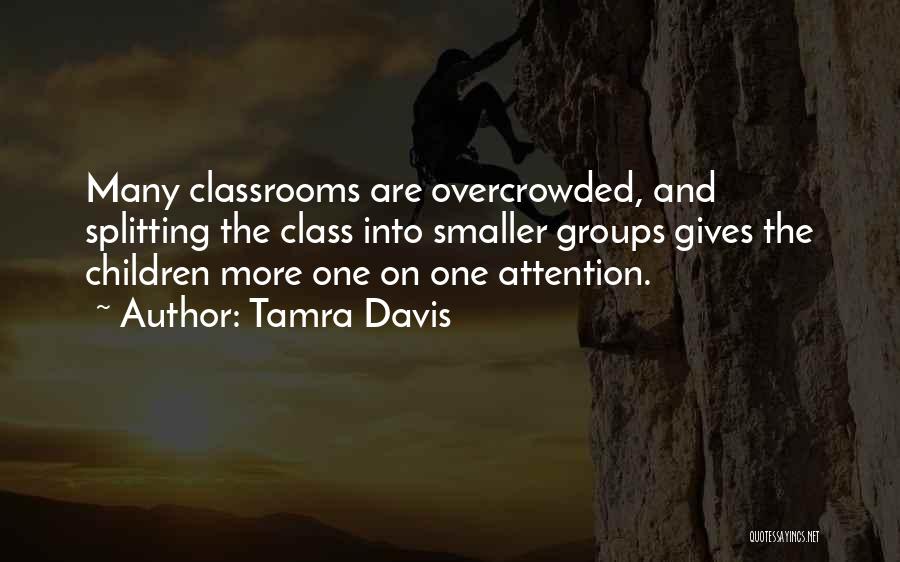 Tamra Davis Quotes: Many Classrooms Are Overcrowded, And Splitting The Class Into Smaller Groups Gives The Children More One On One Attention.