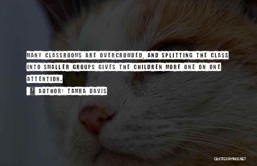 Tamra Davis Quotes: Many Classrooms Are Overcrowded, And Splitting The Class Into Smaller Groups Gives The Children More One On One Attention.