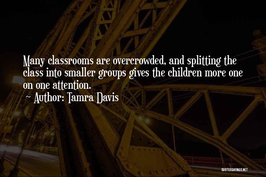 Tamra Davis Quotes: Many Classrooms Are Overcrowded, And Splitting The Class Into Smaller Groups Gives The Children More One On One Attention.