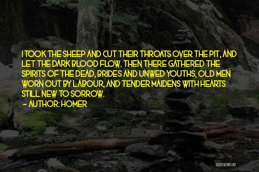 Homer Quotes: I Took The Sheep And Cut Their Throats Over The Pit, And Let The Dark Blood Flow. Then There Gathered