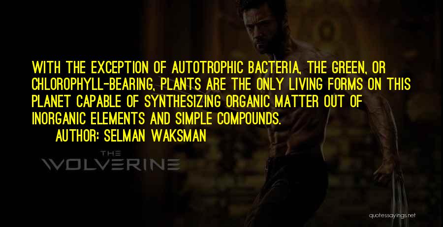 Selman Waksman Quotes: With The Exception Of Autotrophic Bacteria, The Green, Or Chlorophyll-bearing, Plants Are The Only Living Forms On This Planet Capable