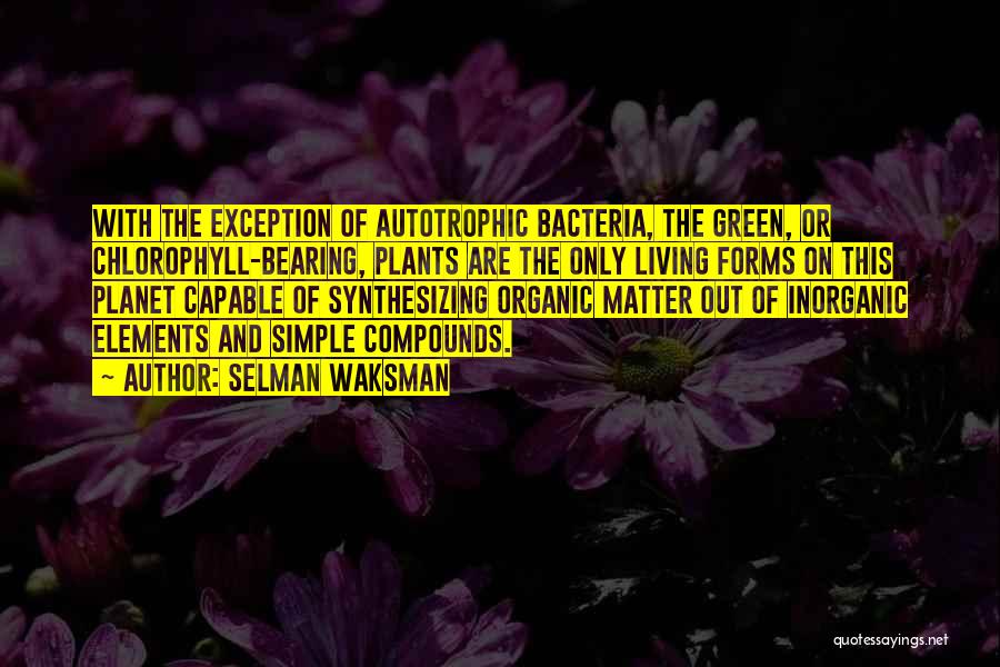 Selman Waksman Quotes: With The Exception Of Autotrophic Bacteria, The Green, Or Chlorophyll-bearing, Plants Are The Only Living Forms On This Planet Capable