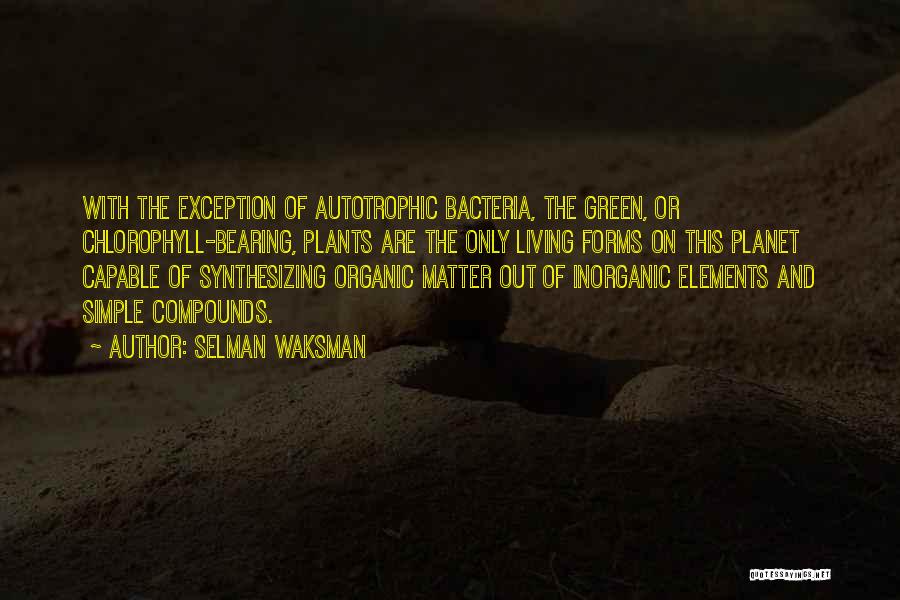 Selman Waksman Quotes: With The Exception Of Autotrophic Bacteria, The Green, Or Chlorophyll-bearing, Plants Are The Only Living Forms On This Planet Capable