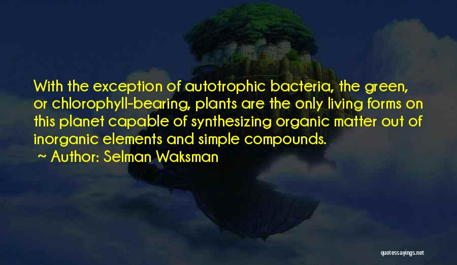 Selman Waksman Quotes: With The Exception Of Autotrophic Bacteria, The Green, Or Chlorophyll-bearing, Plants Are The Only Living Forms On This Planet Capable