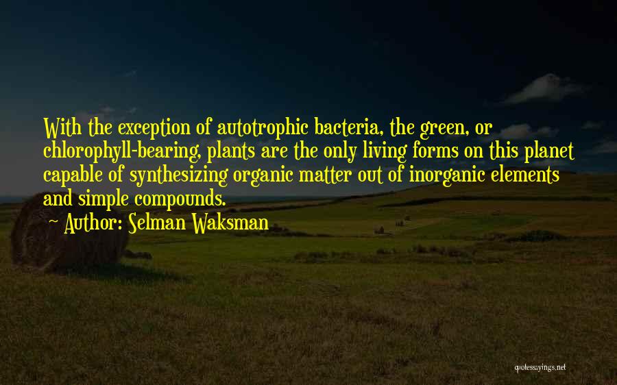 Selman Waksman Quotes: With The Exception Of Autotrophic Bacteria, The Green, Or Chlorophyll-bearing, Plants Are The Only Living Forms On This Planet Capable