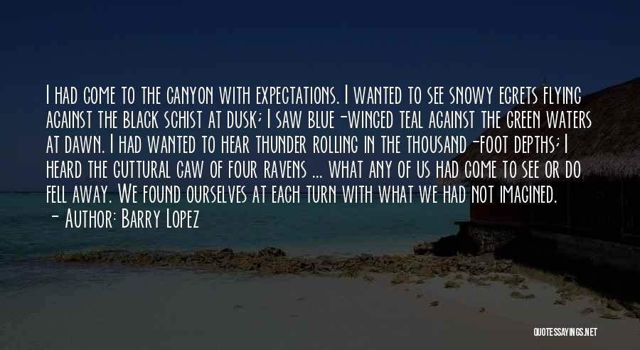 Barry Lopez Quotes: I Had Come To The Canyon With Expectations. I Wanted To See Snowy Egrets Flying Against The Black Schist At