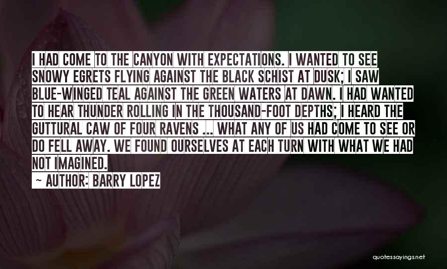 Barry Lopez Quotes: I Had Come To The Canyon With Expectations. I Wanted To See Snowy Egrets Flying Against The Black Schist At