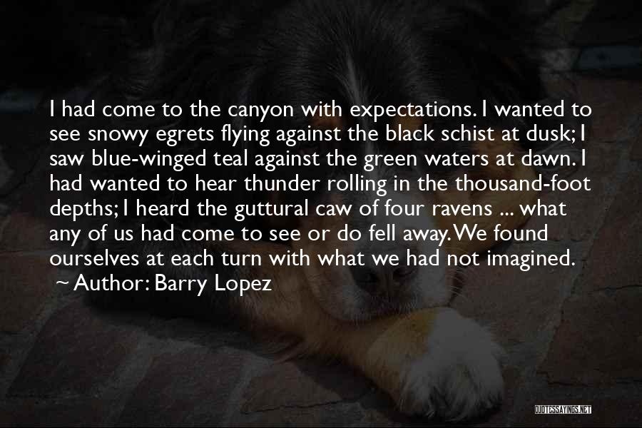 Barry Lopez Quotes: I Had Come To The Canyon With Expectations. I Wanted To See Snowy Egrets Flying Against The Black Schist At