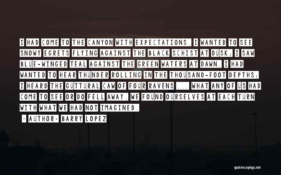 Barry Lopez Quotes: I Had Come To The Canyon With Expectations. I Wanted To See Snowy Egrets Flying Against The Black Schist At