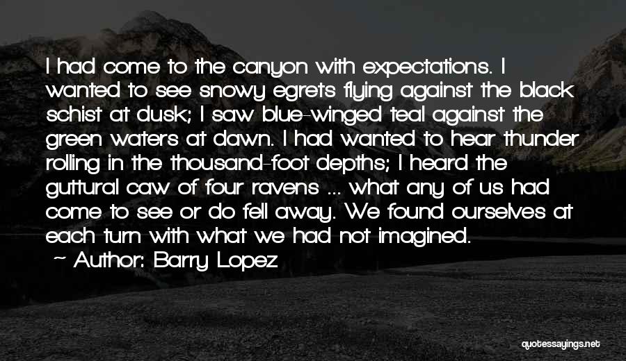 Barry Lopez Quotes: I Had Come To The Canyon With Expectations. I Wanted To See Snowy Egrets Flying Against The Black Schist At