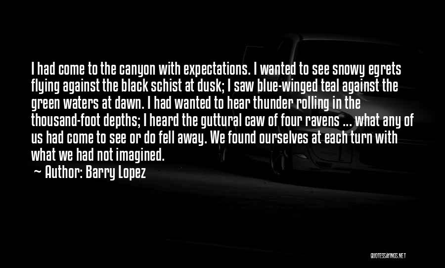 Barry Lopez Quotes: I Had Come To The Canyon With Expectations. I Wanted To See Snowy Egrets Flying Against The Black Schist At