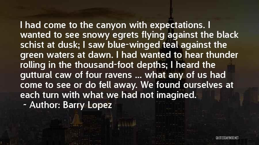 Barry Lopez Quotes: I Had Come To The Canyon With Expectations. I Wanted To See Snowy Egrets Flying Against The Black Schist At