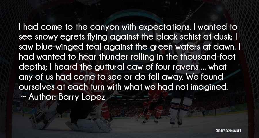 Barry Lopez Quotes: I Had Come To The Canyon With Expectations. I Wanted To See Snowy Egrets Flying Against The Black Schist At