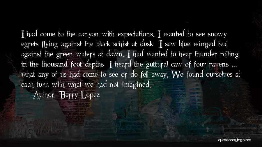 Barry Lopez Quotes: I Had Come To The Canyon With Expectations. I Wanted To See Snowy Egrets Flying Against The Black Schist At