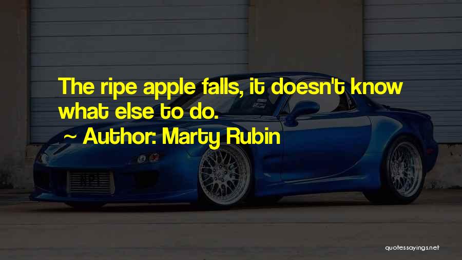 Marty Rubin Quotes: The Ripe Apple Falls, It Doesn't Know What Else To Do.