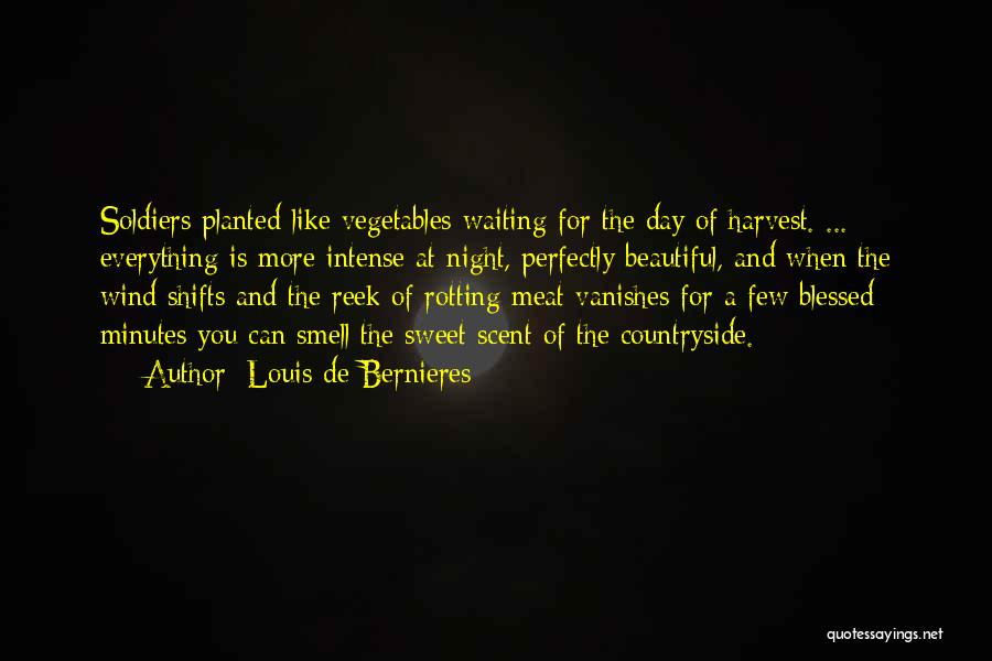 Louis De Bernieres Quotes: Soldiers Planted Like Vegetables Waiting For The Day Of Harvest. ... Everything Is More Intense At Night, Perfectly Beautiful, And