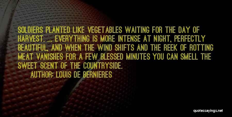 Louis De Bernieres Quotes: Soldiers Planted Like Vegetables Waiting For The Day Of Harvest. ... Everything Is More Intense At Night, Perfectly Beautiful, And