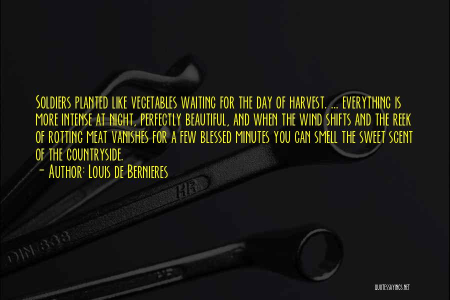 Louis De Bernieres Quotes: Soldiers Planted Like Vegetables Waiting For The Day Of Harvest. ... Everything Is More Intense At Night, Perfectly Beautiful, And