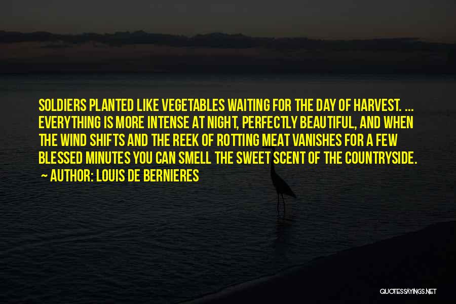 Louis De Bernieres Quotes: Soldiers Planted Like Vegetables Waiting For The Day Of Harvest. ... Everything Is More Intense At Night, Perfectly Beautiful, And