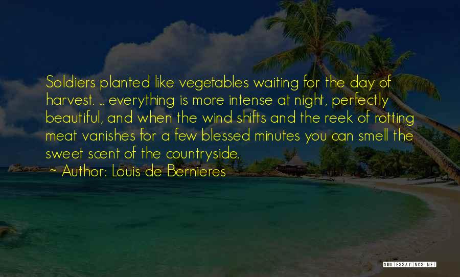 Louis De Bernieres Quotes: Soldiers Planted Like Vegetables Waiting For The Day Of Harvest. ... Everything Is More Intense At Night, Perfectly Beautiful, And
