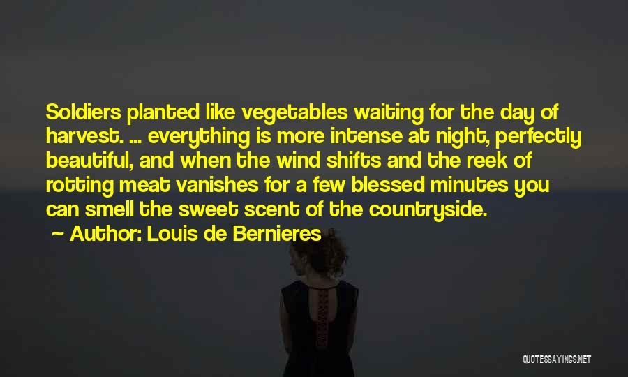 Louis De Bernieres Quotes: Soldiers Planted Like Vegetables Waiting For The Day Of Harvest. ... Everything Is More Intense At Night, Perfectly Beautiful, And