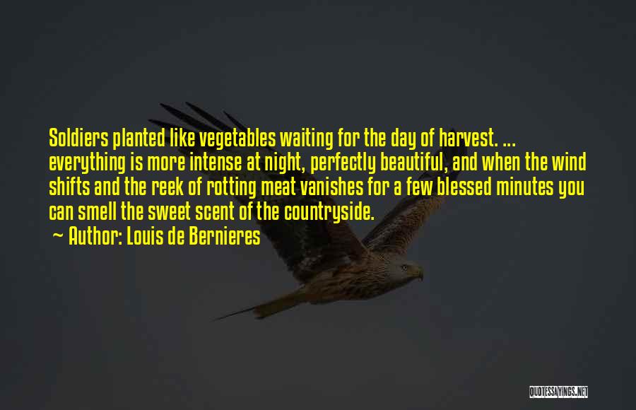 Louis De Bernieres Quotes: Soldiers Planted Like Vegetables Waiting For The Day Of Harvest. ... Everything Is More Intense At Night, Perfectly Beautiful, And