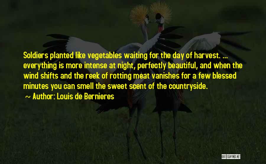 Louis De Bernieres Quotes: Soldiers Planted Like Vegetables Waiting For The Day Of Harvest. ... Everything Is More Intense At Night, Perfectly Beautiful, And