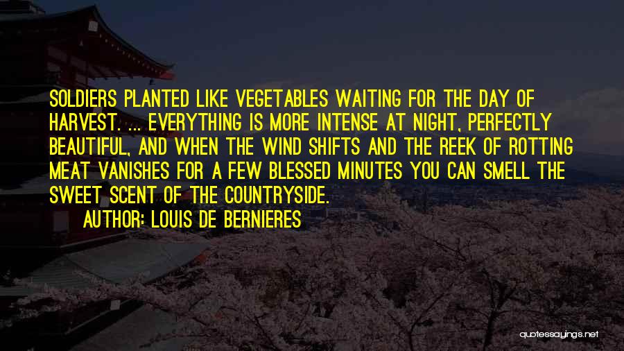 Louis De Bernieres Quotes: Soldiers Planted Like Vegetables Waiting For The Day Of Harvest. ... Everything Is More Intense At Night, Perfectly Beautiful, And