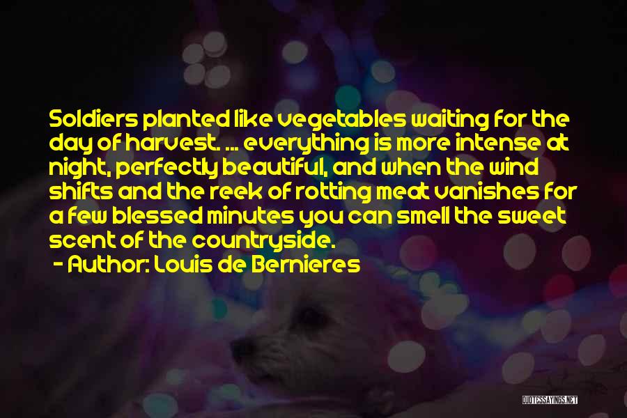 Louis De Bernieres Quotes: Soldiers Planted Like Vegetables Waiting For The Day Of Harvest. ... Everything Is More Intense At Night, Perfectly Beautiful, And