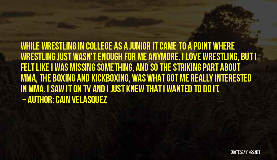 Cain Velasquez Quotes: While Wrestling In College As A Junior It Came To A Point Where Wrestling Just Wasn't Enough For Me Anymore.