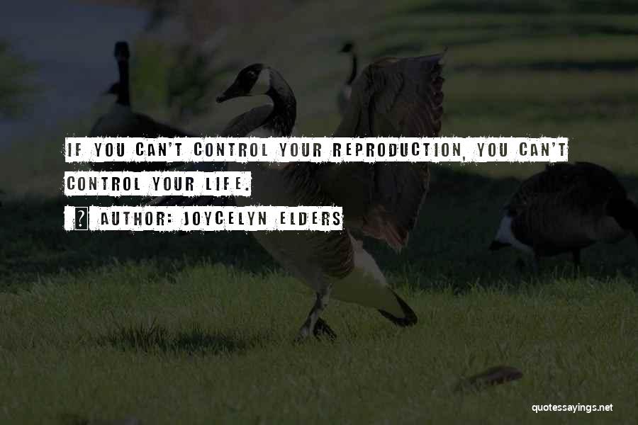 Joycelyn Elders Quotes: If You Can't Control Your Reproduction, You Can't Control Your Life.