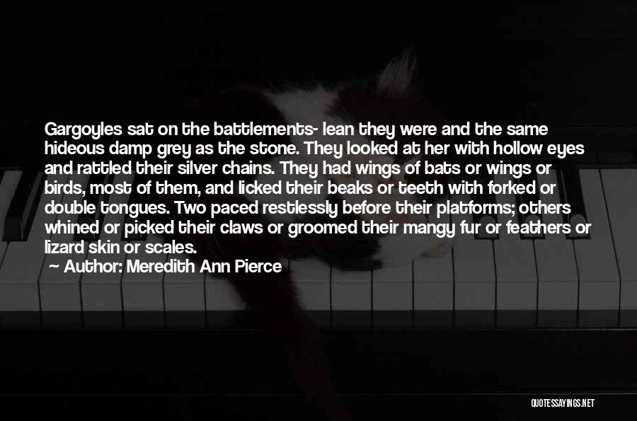 Meredith Ann Pierce Quotes: Gargoyles Sat On The Battlements- Lean They Were And The Same Hideous Damp Grey As The Stone. They Looked At