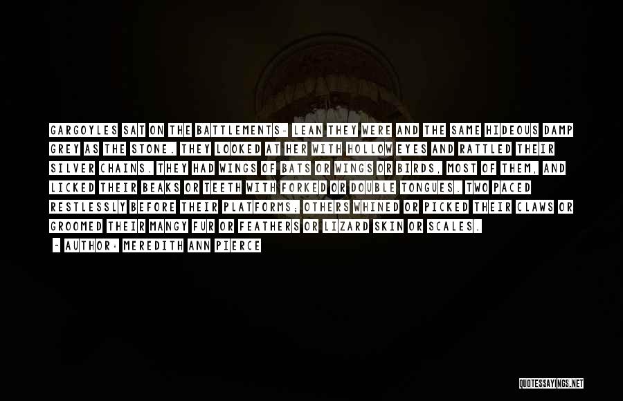 Meredith Ann Pierce Quotes: Gargoyles Sat On The Battlements- Lean They Were And The Same Hideous Damp Grey As The Stone. They Looked At